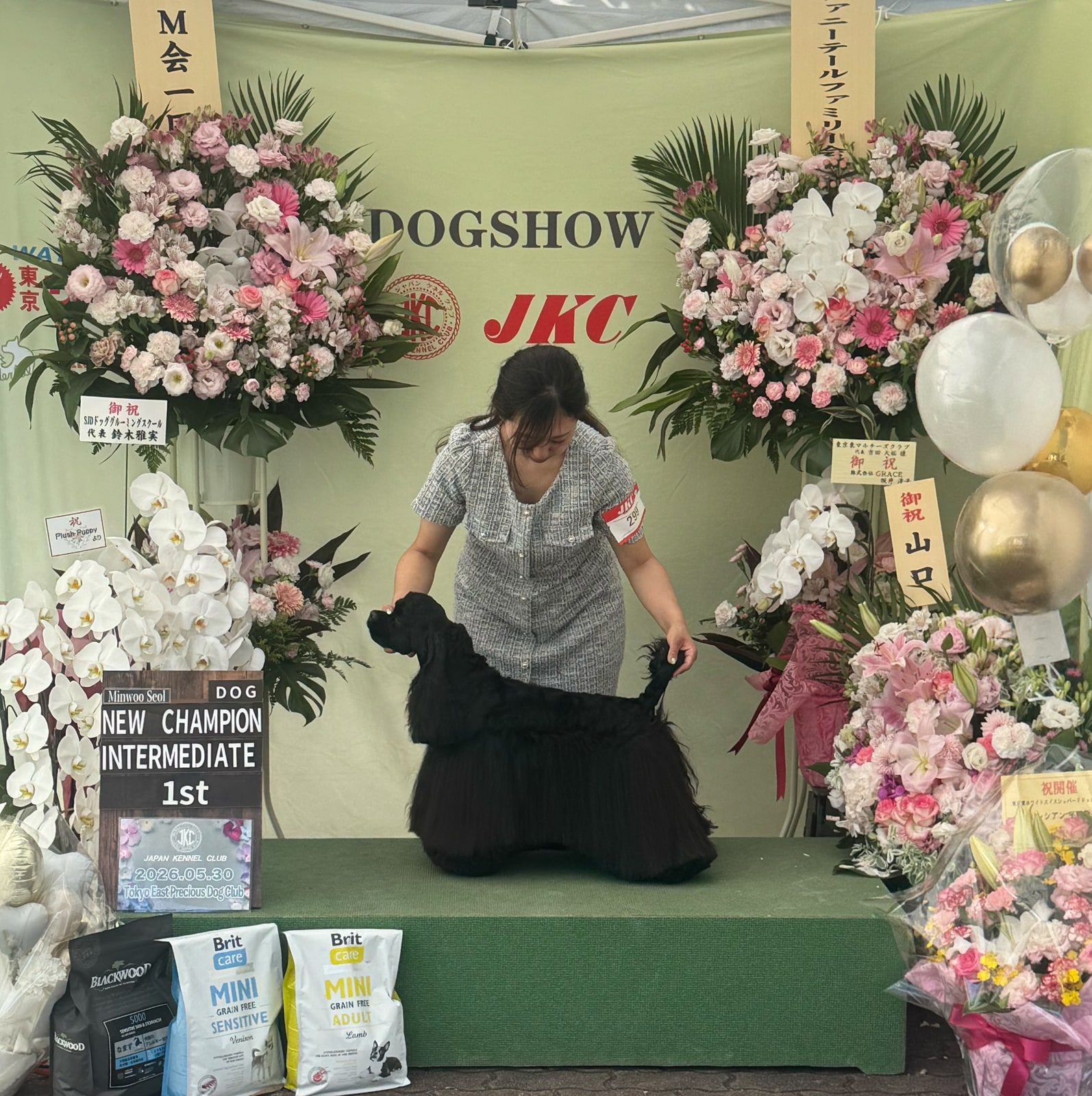 ドッグショーにて